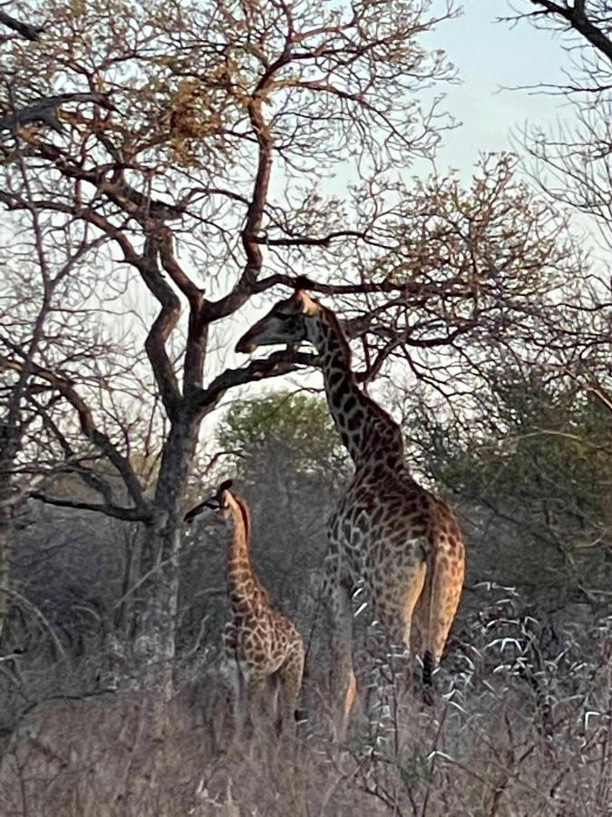 فيلا The Cheetah Rest هويدزبروت المظهر الخارجي الصورة